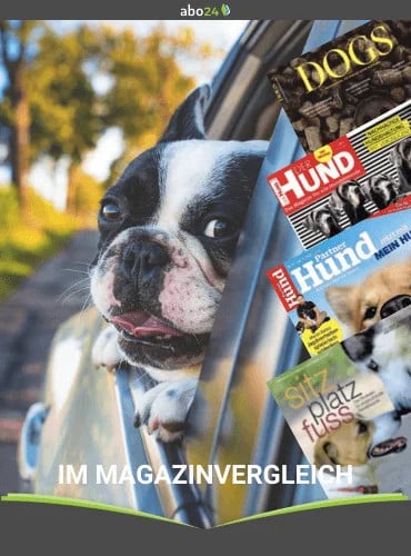 Hundemagazine im Vergleich