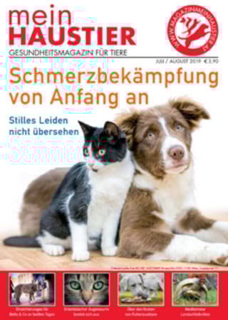 Mein Haustier
