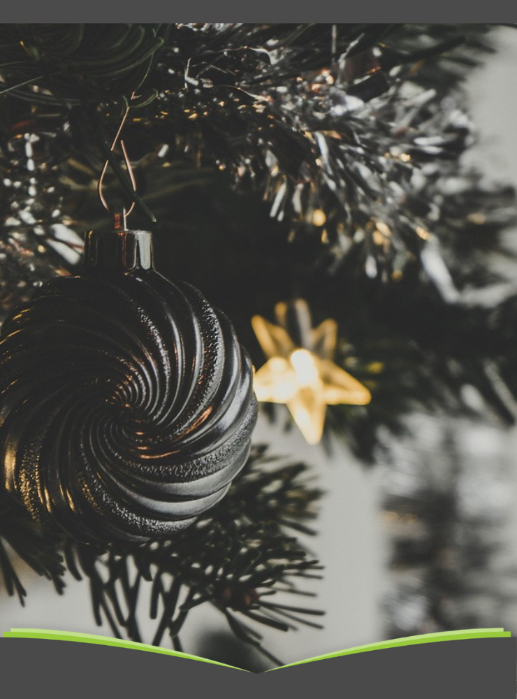 Meinabo Weihnachtskampagne: Lesefreude verschenken 