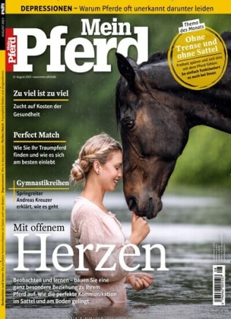 Mein Pferd