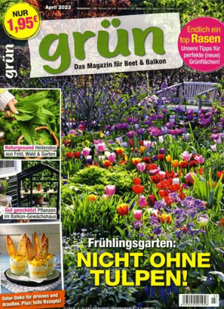 Grün – Kreativ mit Blumen & Pflanzen
