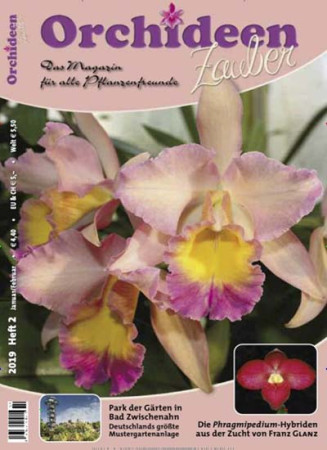 Orchideenzauber