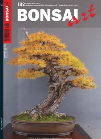 Bonsai Art