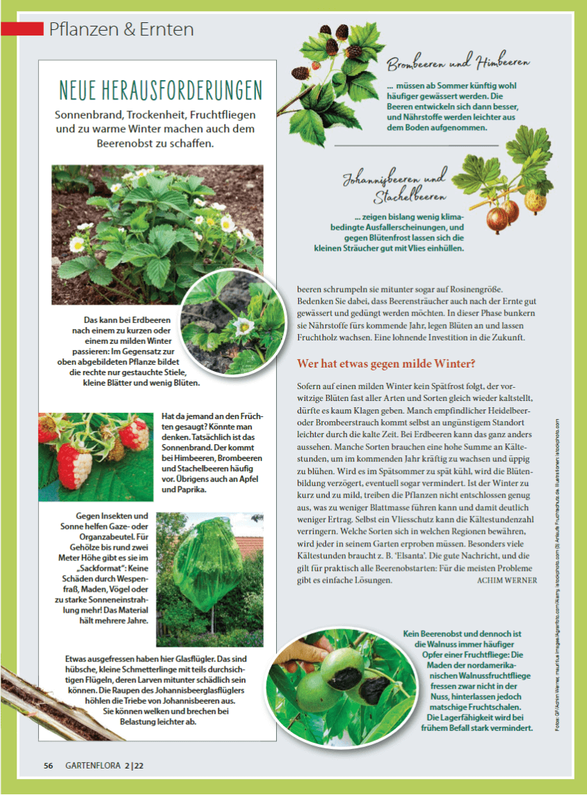 Gartenmagazine im Vergleich